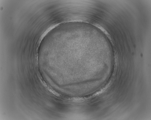 X0000066990933200604211954