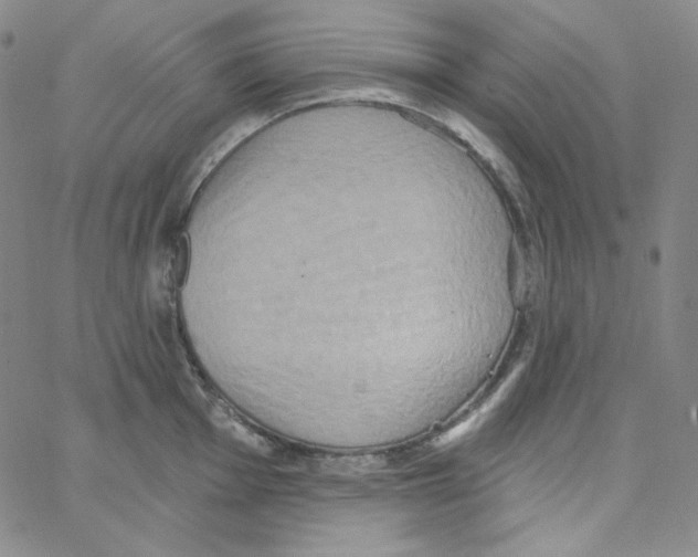X0000066991001200604211953