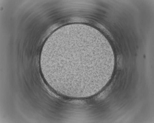 X0000066991033200604211952