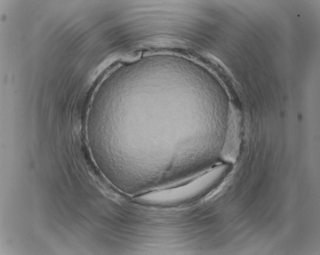 X0000066991065200604211952