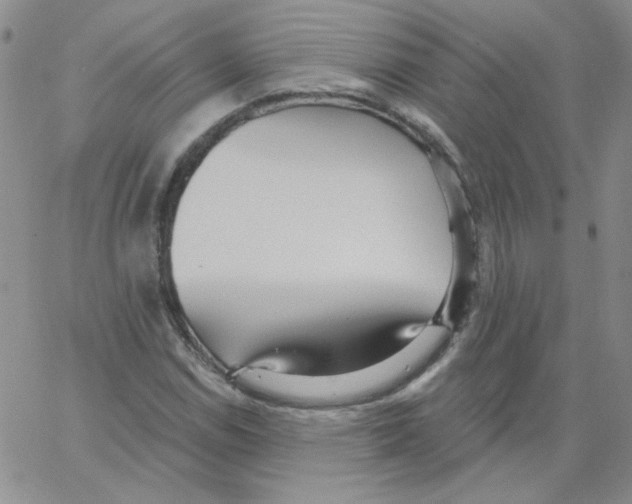 X0000066991114200604211950