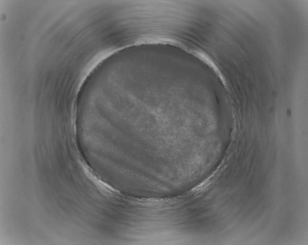 X0000066991124200604211951