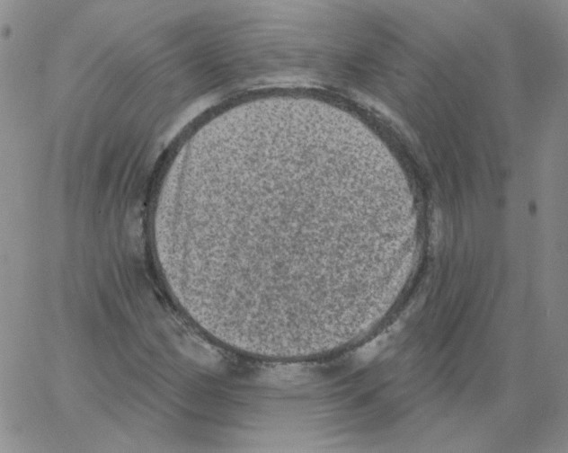 X0000066991162200604211950