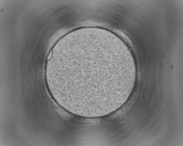X0000066991183200604211950