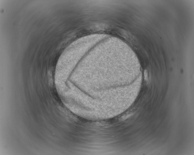 X0000066991203200604211949