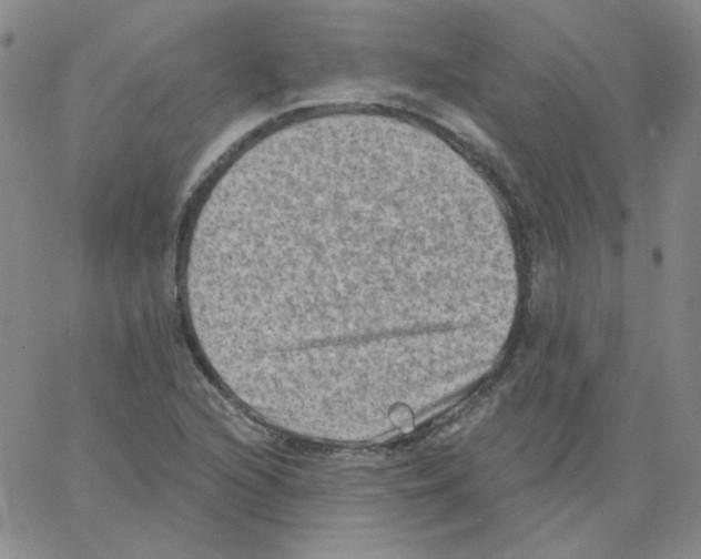 X0000066991216200604211949