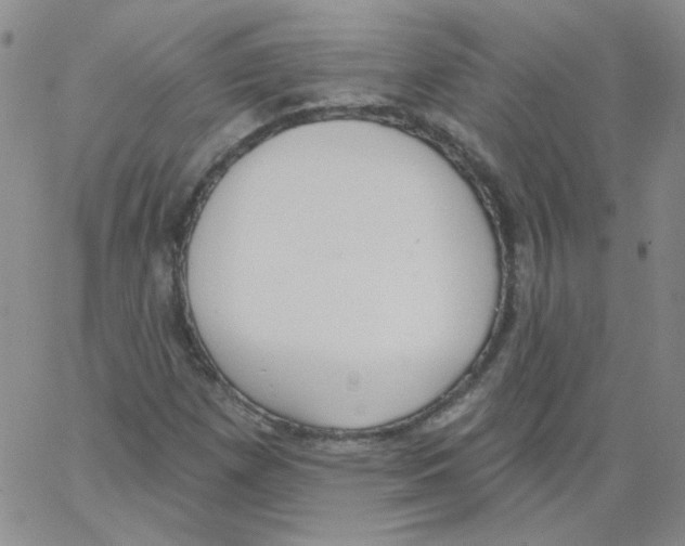X0000066991257200604211948