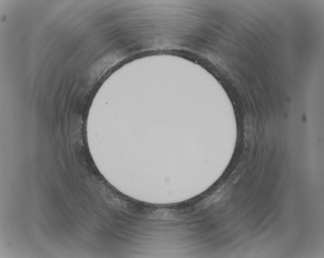 X0000066991265200604211948