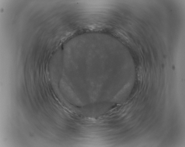 X0000066991298200604211947