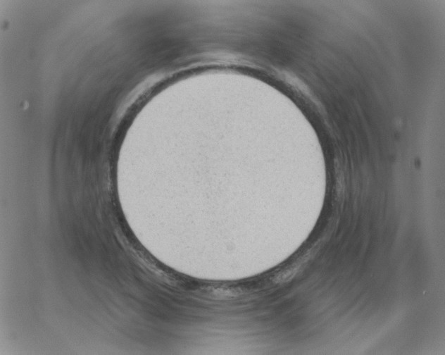 X0000066991318200604211947