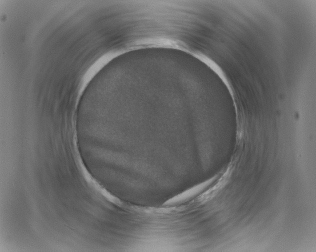 X0000066991389200604211946