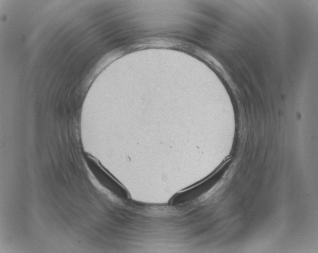 X0000066991433200604211946