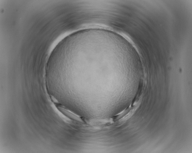 X0000066991438200604211946