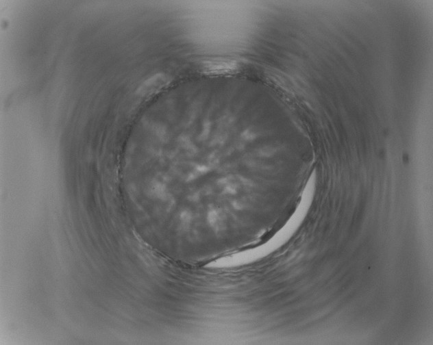 X0000066991441200604211945