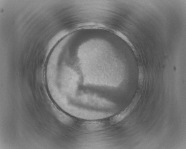 X0000066991474200604211945