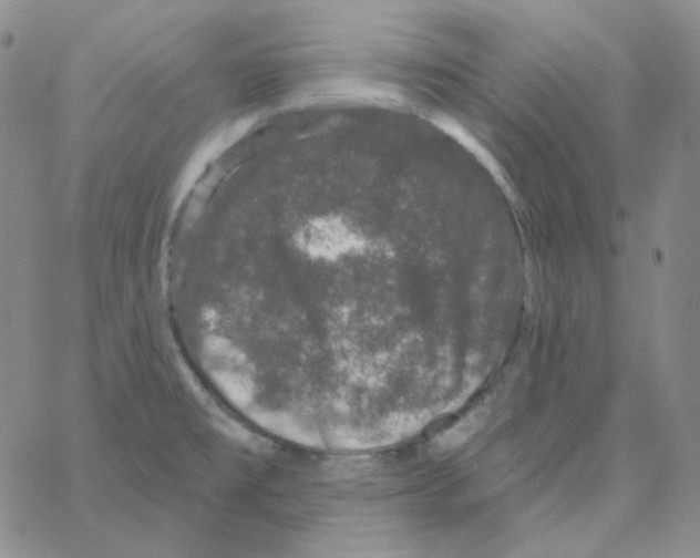 X0000066991477200604211945