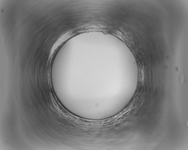 X0000067000004200603241057
