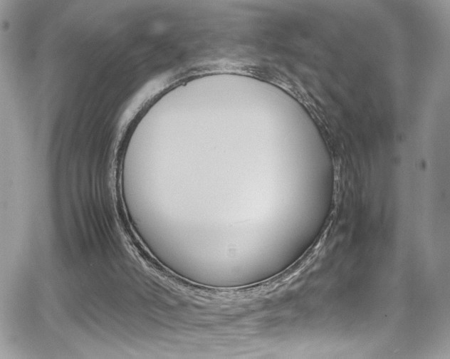 X0000067000006200603241057