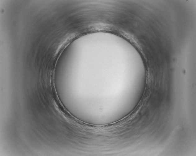 X0000067000010200603241057
