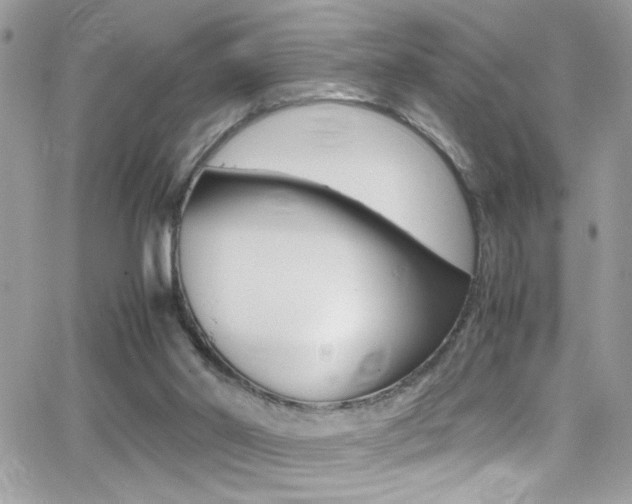 X0000067000014200603241057