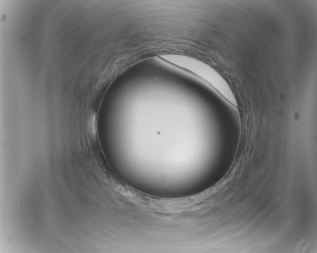 X0000067000041200603241056