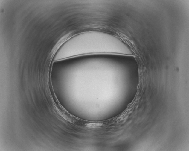 X0000067000051200603241055