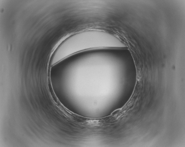 X0000067000052200603241055