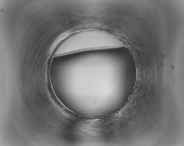 X0000067000054200603241055