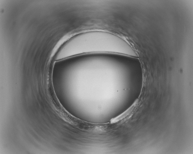 X0000067000056200603241055