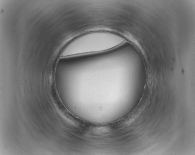 X0000067000063200603241056