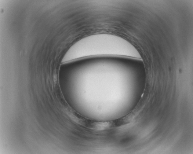 X0000067000085200603241056