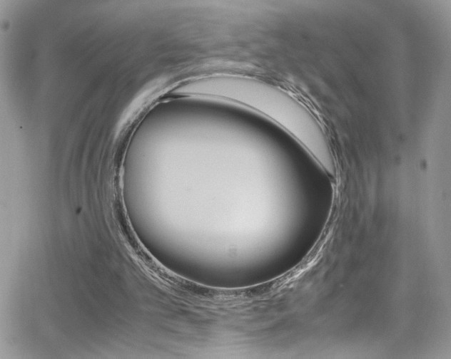 X0000067000101200603241055