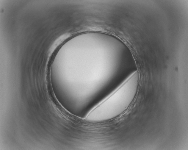 X0000067000104200603241055