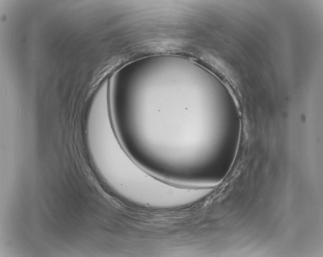 X0000067000105200603241055