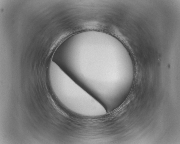 X0000067000106200603241055