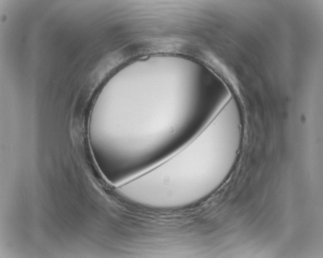 X0000067000107200603241055