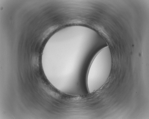 X0000067000112200603241055