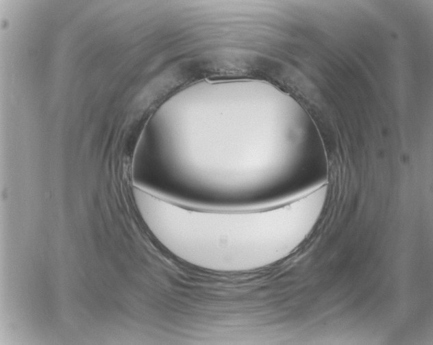 X0000067000141200603241055