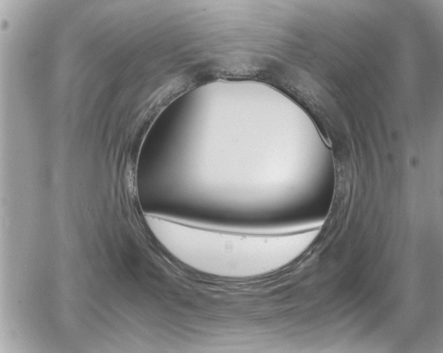 X0000067000143200603241055