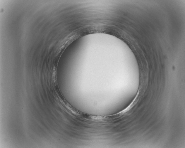 X0000067000144200603241055