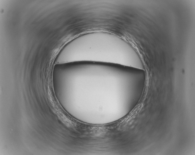 X0000067000145200603241054