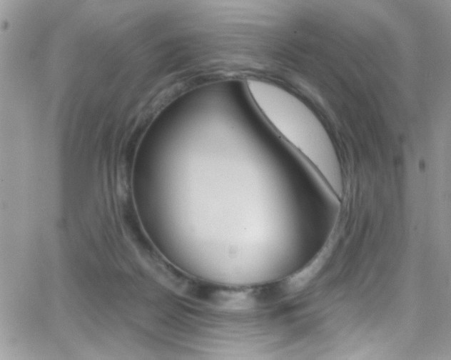 X0000067000170200603241054
