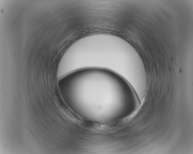 X0000067000174200603241054