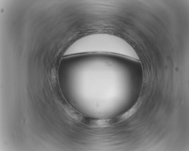X0000067000184200603241054