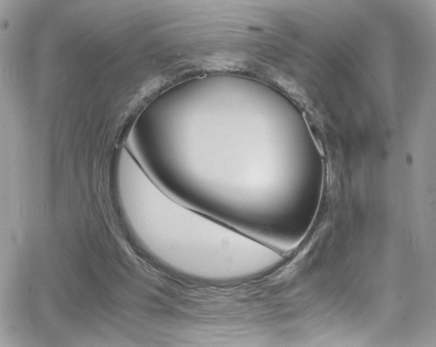 X0000067000201200603241054