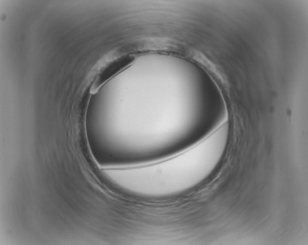 X0000067000203200603241054