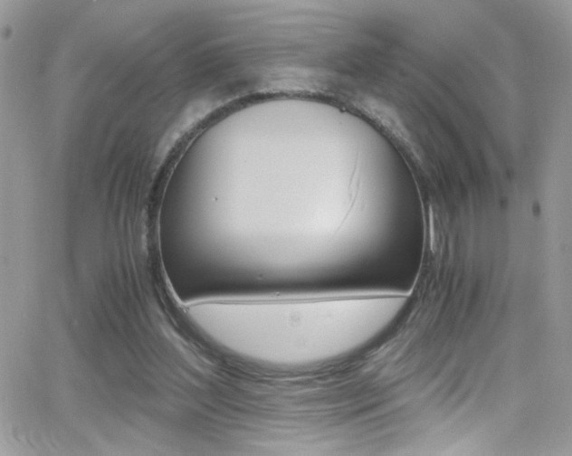 X0000067000204200603241054