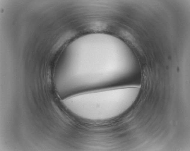 X0000067000212200603241053