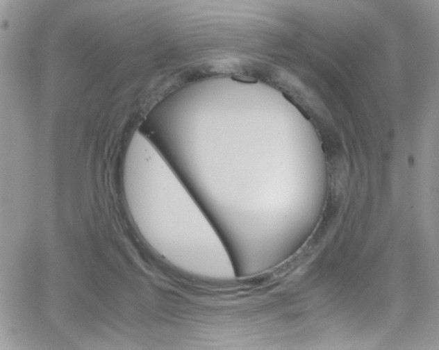 X0000067000213200603241053