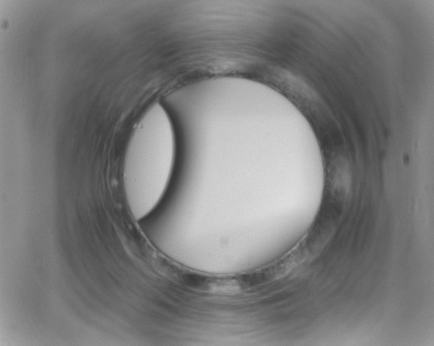 X0000067000214200603241053